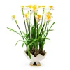 Daffodil Centerpiece|MacKenzie-Childs Hot