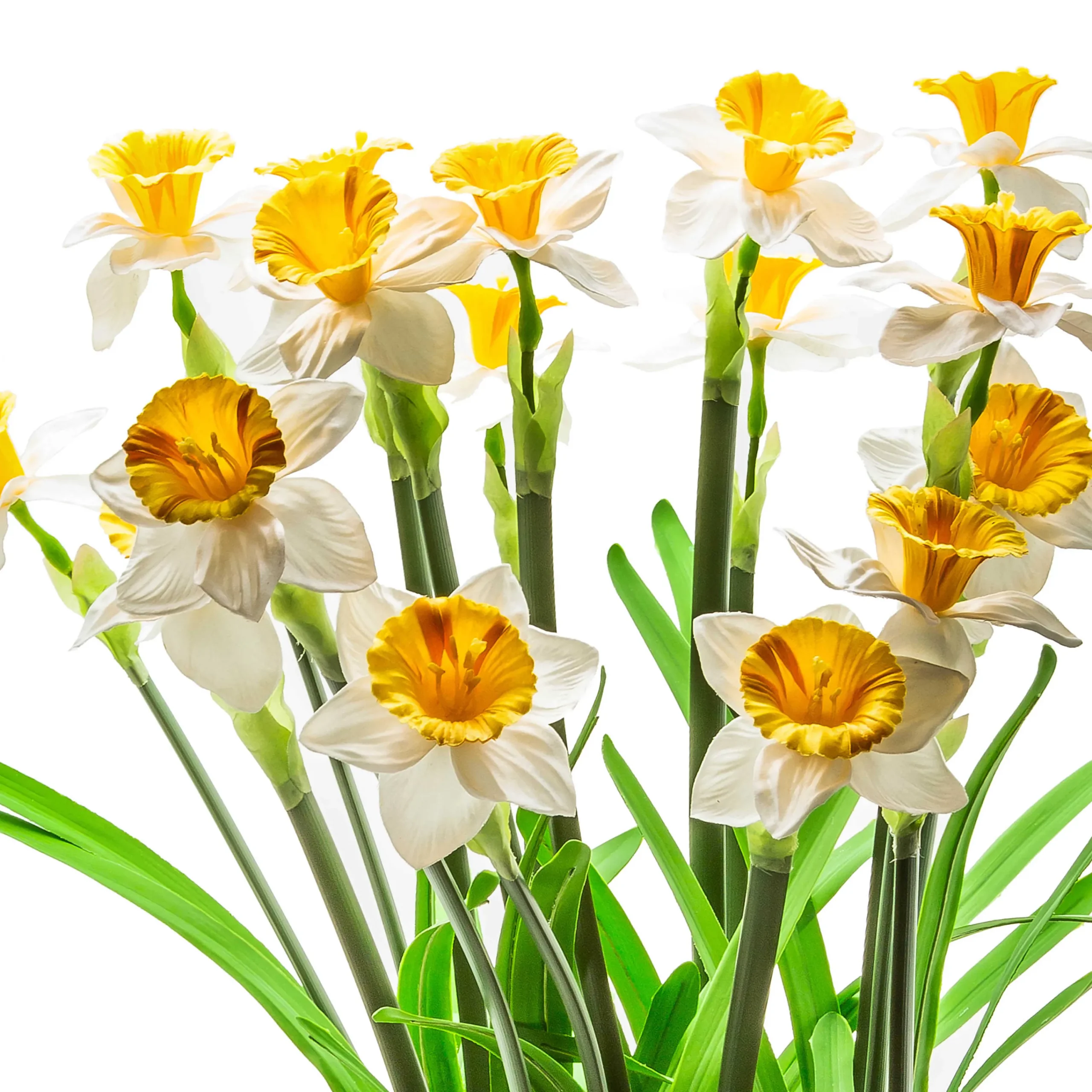 Daffodil Centerpiece|MacKenzie-Childs Hot