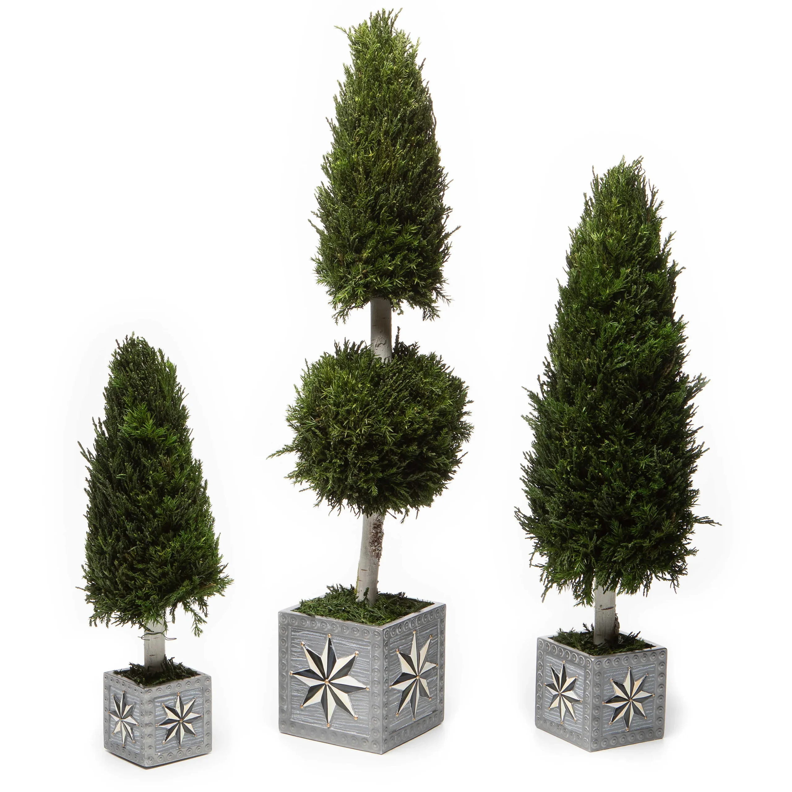 Farmhouse Cypress Tree - Medium|MacKenzie-Childs Discount