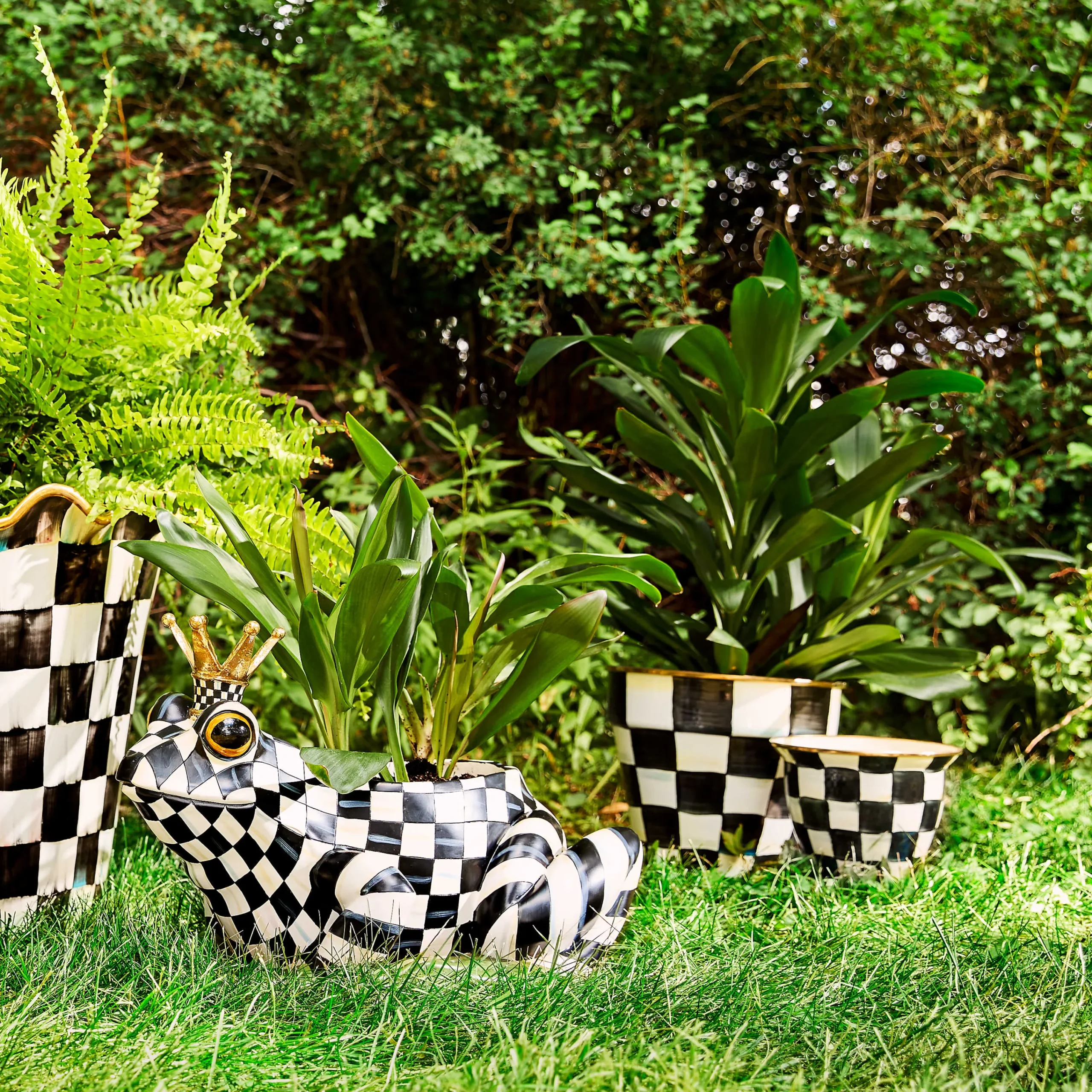 Fergal The Frog Planter|MacKenzie-Childs