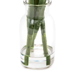 Fresh Picks - Daffodil|MacKenzie-Childs New