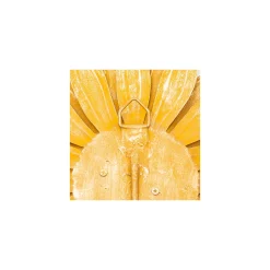 Golden Anemone Candle Sconce|MacKenzie-Childs Online