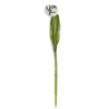 Parrot Tulip - Ivory|MacKenzie-Childs Outlet