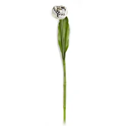 Parrot Tulip - Ivory|MacKenzie-Childs Outlet
