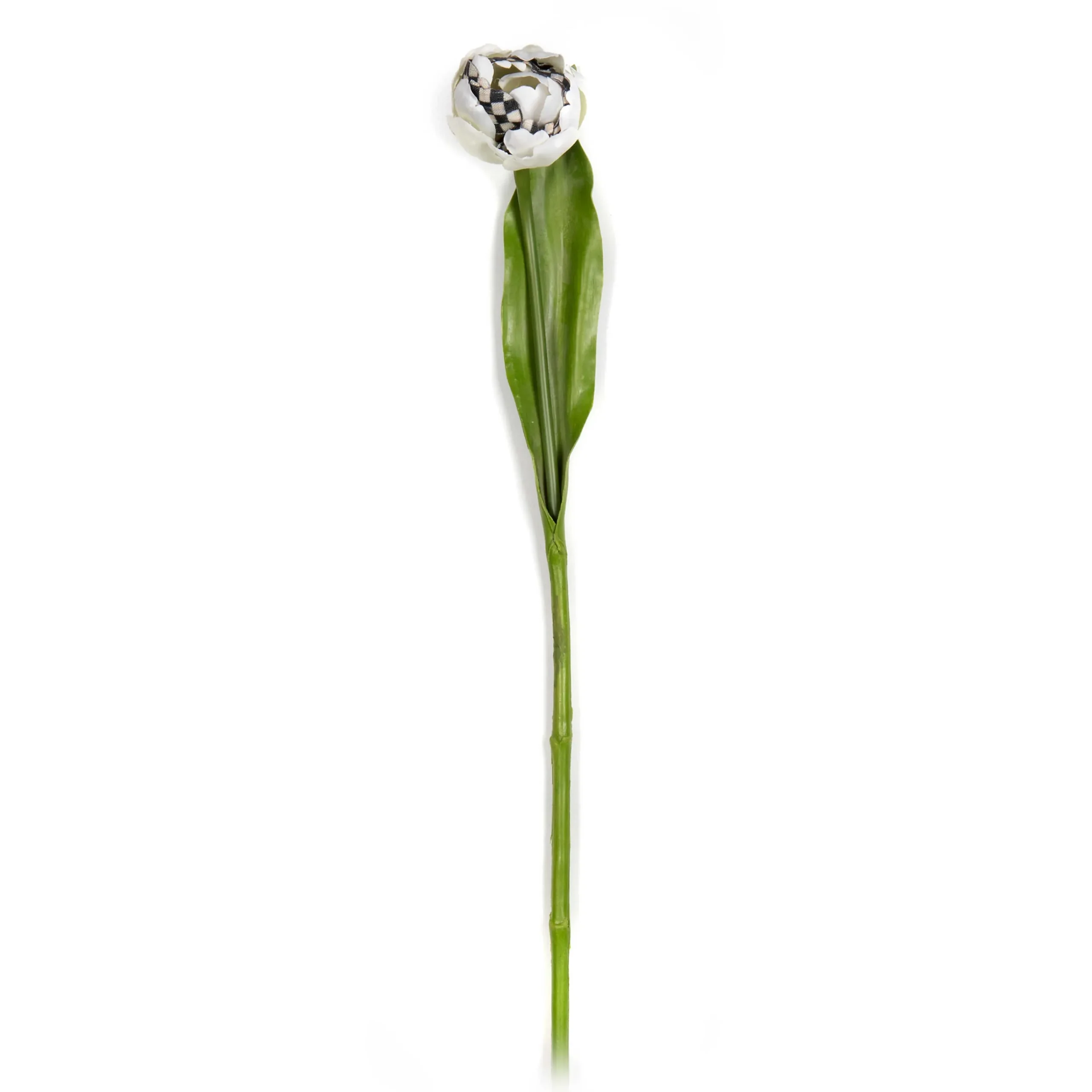 Parrot Tulip - Ivory|MacKenzie-Childs Outlet
