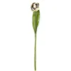 Parrot Tulip - Yellow|MacKenzie-Childs Online