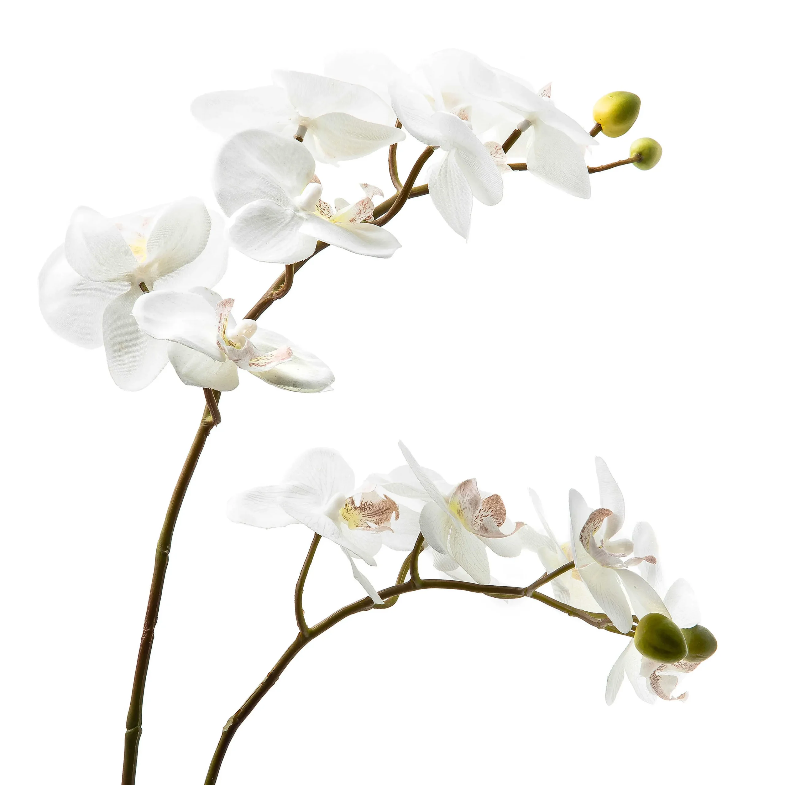 Royal Toile Potted Orchid - Large|MacKenzie-Childs New