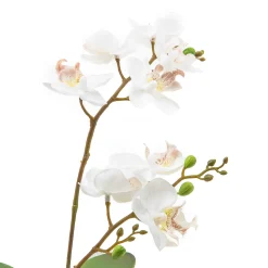 Royal Toile Potted Orchid - Small|MacKenzie-Childs Sale