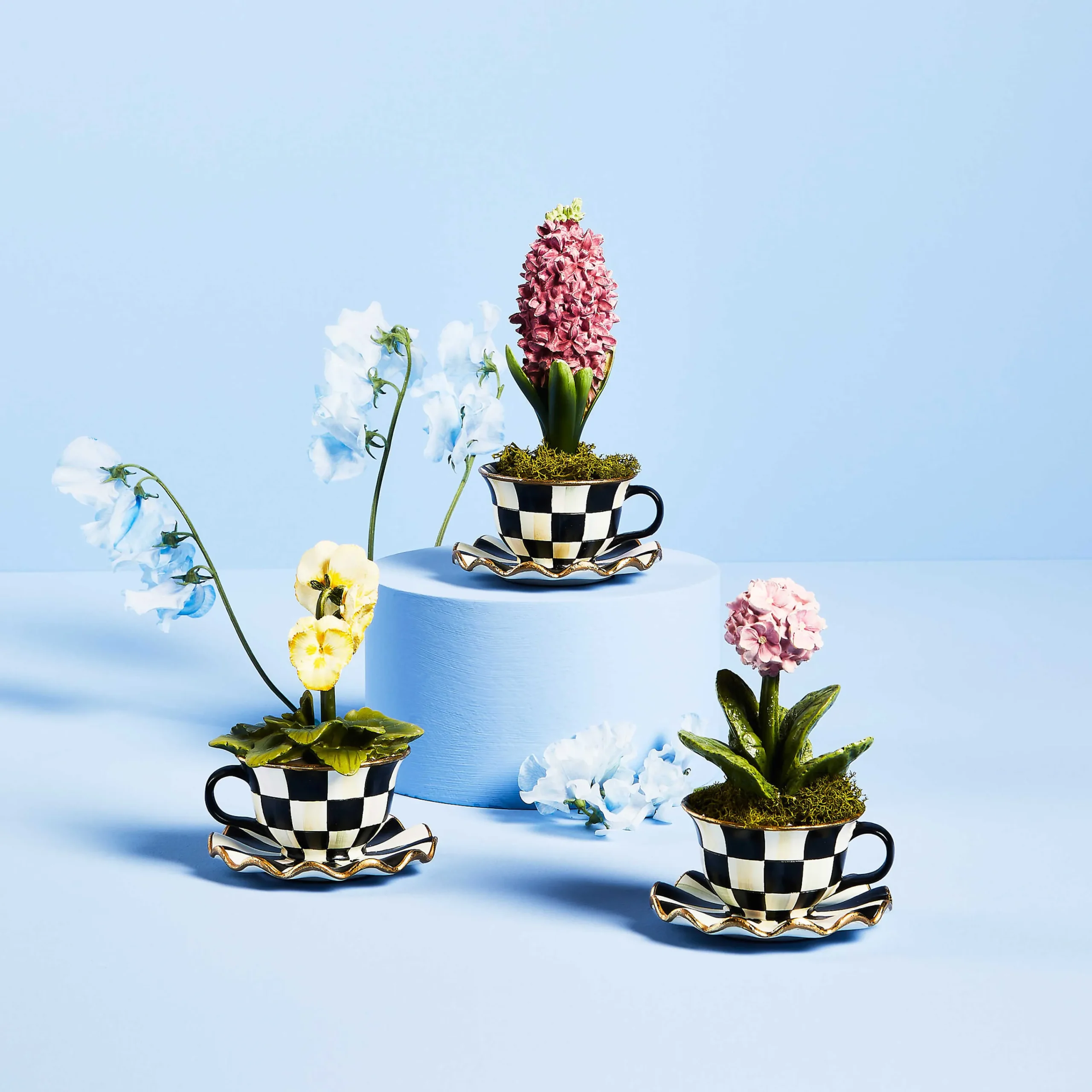 Teacup Pansy|MacKenzie-Childs Best