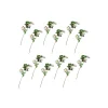 Wild Rose Spray Bouquet - Cream - Set Of 12|MacKenzie-Childs Outlet